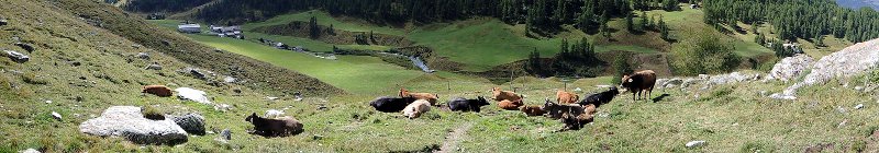 Balint-Studienwoche im Engadin
