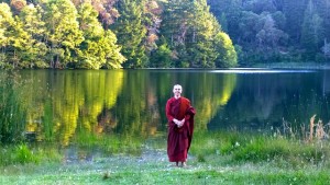 Dharma, Meditation und Natur-Mandala: Wochenend-Retreat mit Ayya Santacitta.